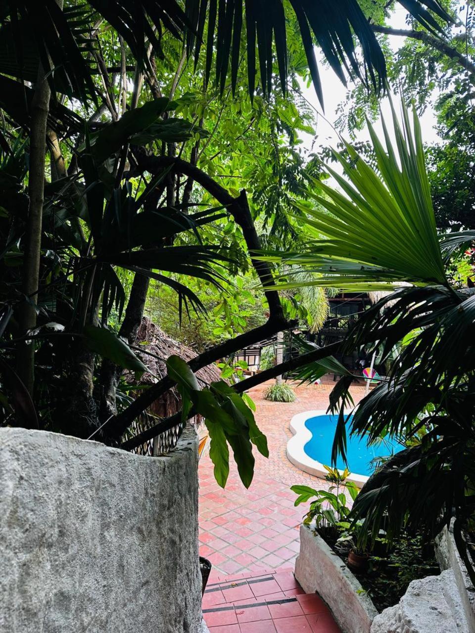 Lodge Cacao *