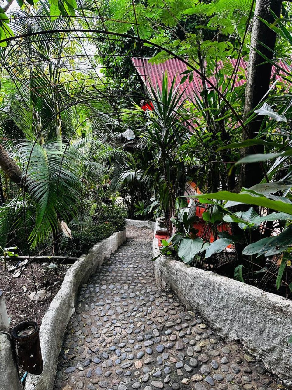 Cacao El Zaino